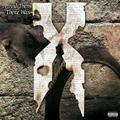 DMX - AND THEN THERE WAS X (2 LP)