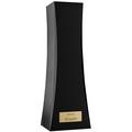 Виниловый ионизатор DS Audio ION-001 Vinyl Ionizer