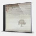 CD-диск GENESIS - WIND & WUTHERING
