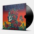 Виниловая пластинка GRATEFUL DEAD - GRATEST HITS