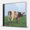 CD-диск PINK FLOYD - ATOM HEART MOTHER