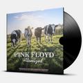 Виниловая пластинка PINK FLOYD - ATOMIZED