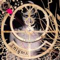 ENIGMA - A POSTERIORI