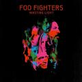 Виниловая пластинка FOO FIGHTERS - WASTING LIGHT (2 LP)