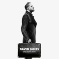 GAVIN JAMES - ONLY TICKET HOME (180 GR)