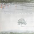 Виниловая пластинка GENESIS - WIND & WUTHERING (REISSUE)