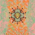 Виниловая пластинка GRATEFUL DEAD - RFK STADIUM, WASHINGTON, D.C. 6/10/73 (LIMITED BOX SET, 8 LP, 180 GR)