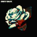 GREY DAZE - AMENDS (DELUXE EDITION, COLOUR, LP + CD)