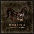CD-диск JETHRO TULL - CURIOUS RUMINANT (SPECIAL EDITION)