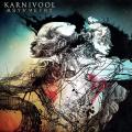 Виниловая пластинка KARNIVOOL - ASYMMETRY (2 LP, 180 GR)