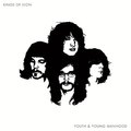 Виниловая пластинка KINGS OF LEON - YOUTH AND YOUNG MANHOOD (2 LP, 180 GR) (64122)