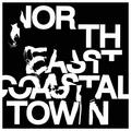 LIFE - NORTH EAST COASTAL TOWN (LIMITED, COLOUR)