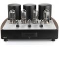 Ламповый моноусилитель мощности MastersounD PF 100 Limited