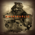 Виниловая пластинка ONEREPUBLIC - NATIVE (2 LP)