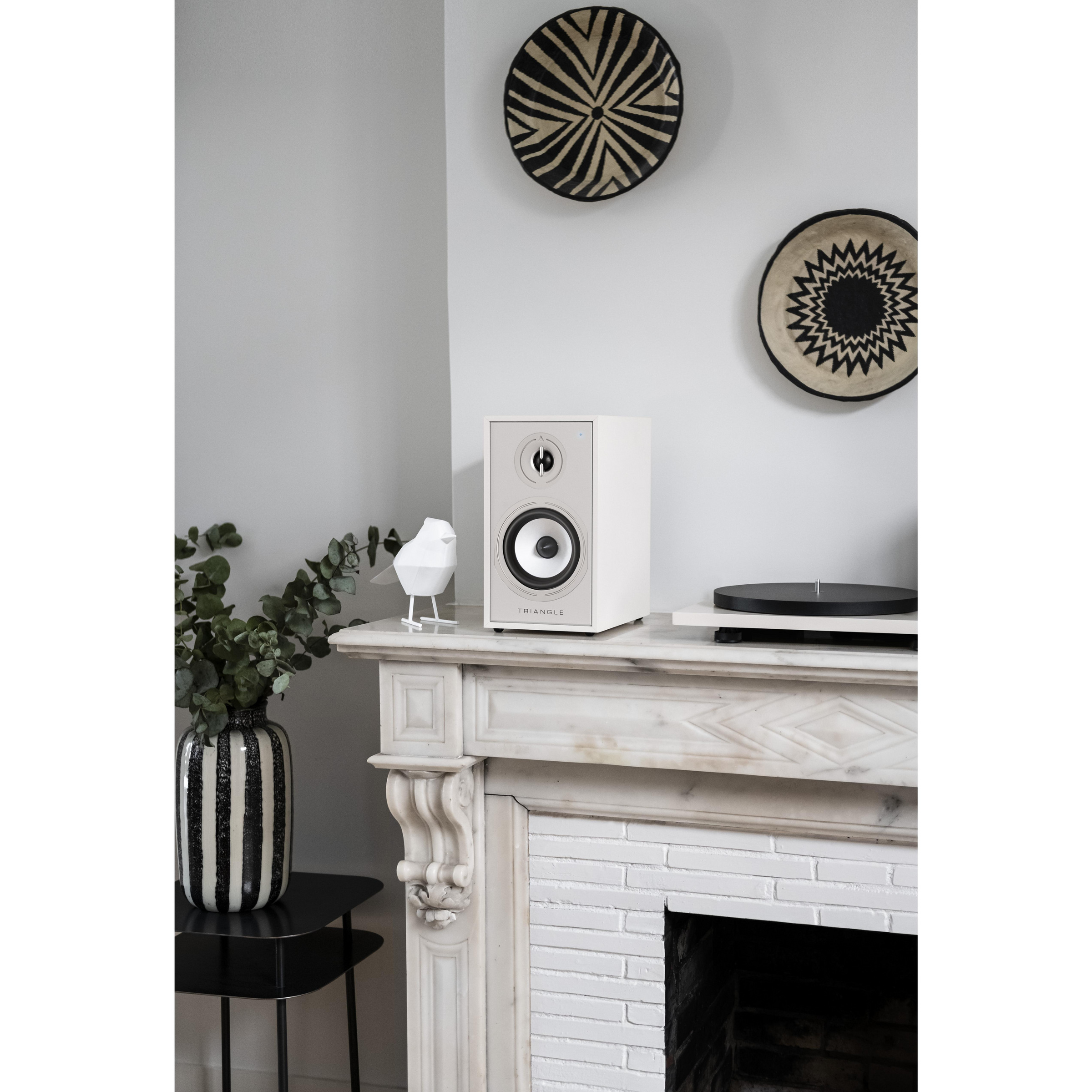 Triangle BOREA BR03 BT - активная полочная акустика | Купить в магазине ...
