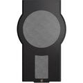 Гриль акустический Perlisten D212s