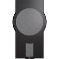 Гриль акустический Perlisten D215s