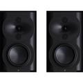 Полочная акустика Perlisten R4b