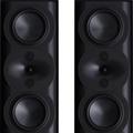 Полочная акустика Perlisten R5m
