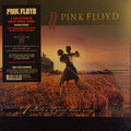 Виниловая пластинка PINK FLOYD - A COLLECTION OF GREAT DANCE SONGS (180 GR)