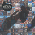 PINK FLOYD - A FOOT IN THE DOOR: THE BEST OF PINK FLOYD (2 LP) (уцененный товар)