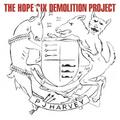 Виниловая пластинка PJ HARVEY - THE HOPE SIX DEMOLITION PROJECT (REISSUE, 180 GR)