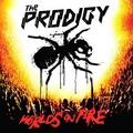 PRODIGY - WORLD'S ON FIRE: LIVE (2 LP)
