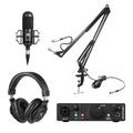 Комплект для домашней студии с микрофоном Radiotehnika MCD-01 (Bundle 1)