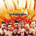 CD-диск RAMMSTEIN - HERZELEID (REISSUE, REMASTERED)