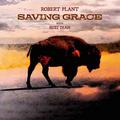 CD-диск ROBERT PLANT & SUZI DIAN - SAVING GRACE