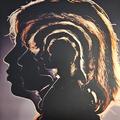 Виниловая пластинка ROLLING STONES - HOT ROCKS 1964-1971 (2 LP, 180 GR)