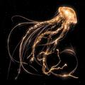 Виниловая пластинка ROYAL BLOOD - BACK TO THE WATER BELOW (LIMITED EDITION, COLOUR)