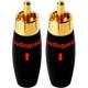 Разъем RCA AudioQuest 300 Male (4шт.)