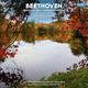 Виниловая пластинка BEETHOVEN - SYMPHONY NO 5, EGMONT OVERTURE (180 GR)