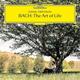 Виниловая пластинка DANIIL TRIFONOV - BACH: THE ART OF LIFE (3 LP)