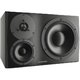 Студийный монитор Dynaudio LYD 48 L Black