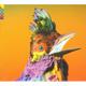 FLUME