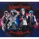HOLLYWOOD VAMPIRES