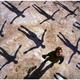 CD-диск MUSE - ABSOLUTION