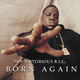 Виниловая пластинка NOTORIOUS B.I.G. - BORN AGAIN (2 LP) (уценённый товар)
