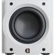Активный сабвуфер Perlisten R8s Satin White