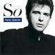 PETER GABRIEL