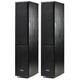 Напольная акустика Radiotehnika Alfa 1.02 MKII Black Ash (уценённый товар)
