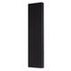 Настенная акустика Radiotehnika RT HO10 Black