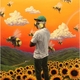 Виниловая пластинка TYLER, THE CREATOR - FLOWER BOY (2 LP)