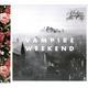 VAMPIRE WEEKEND