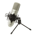 Студийный микрофон TASCAM TM-80 Silver