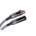 TCHERNOV CABLE SPECIAL XS MK II IC XLR (1m)