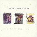 Виниловая пластинка TEARS FOR FEARS - SATURNINE MARTIAL & LUNATIC (LIMITED, 2 LP)