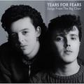 Виниловая пластинка TEARS FOR FEARS - SONGS FROM THE BIG CHAIR (LIMITED, COLOUR)